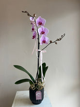 Cargar imagen en el visor de la galería, ORQUIDEA BLACK CERAMIC