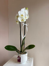 Cargar imagen en el visor de la galería, ORQUIDEA WHITE CERAMIC
