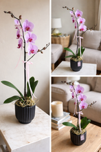 Cargar imagen en el visor de la galería, ORQUIDEA BLACK CERAMIC
